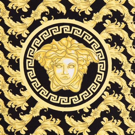 colori tipici versace|versace paint colors.